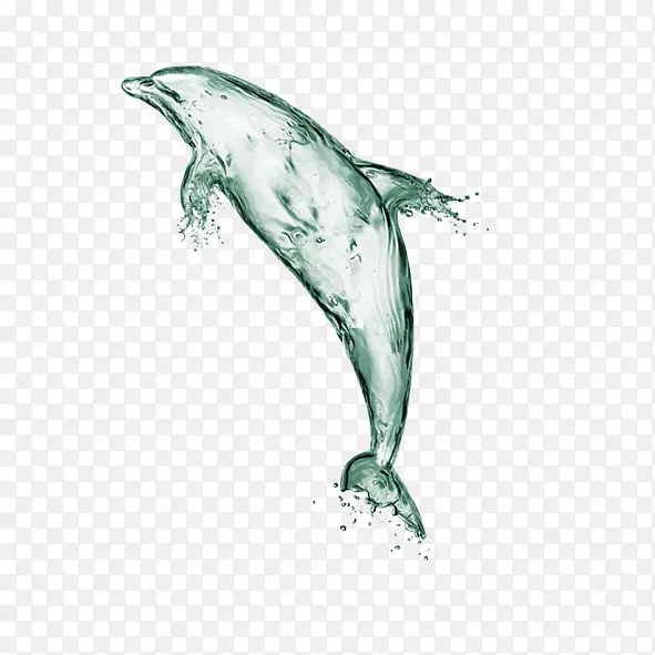 水海豚-计算机文件-绿色和淡水海豚装饰图案