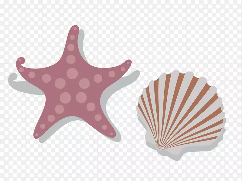 海星-红海星壳装饰图案