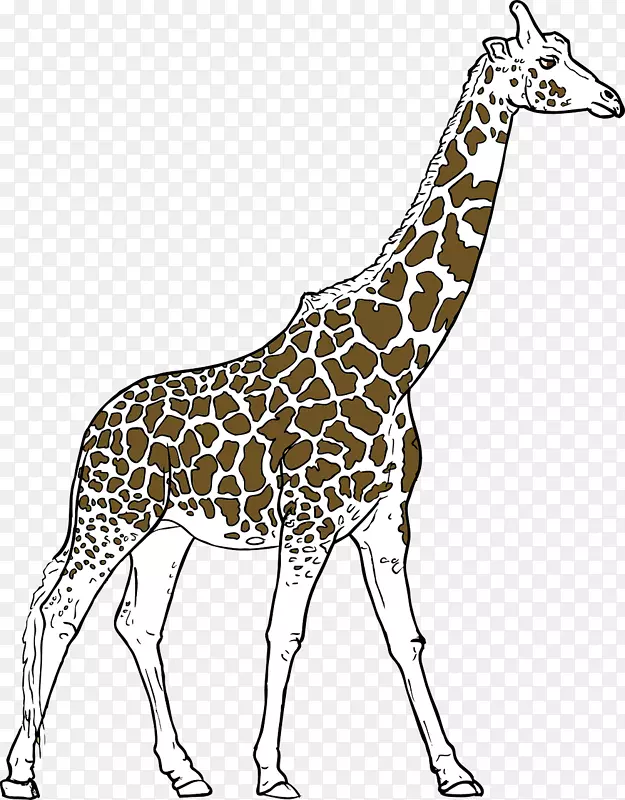 你是一只长颈鹿的绘画剪贴画-高个子长颈鹿
