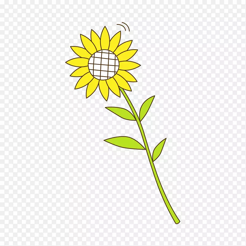 向日葵种子黄色向日葵图案-向日葵