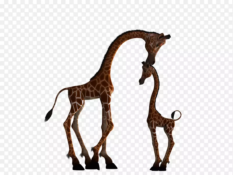长颈鹿剪影可伸缩图形剪辑艺术尺寸长颈鹿