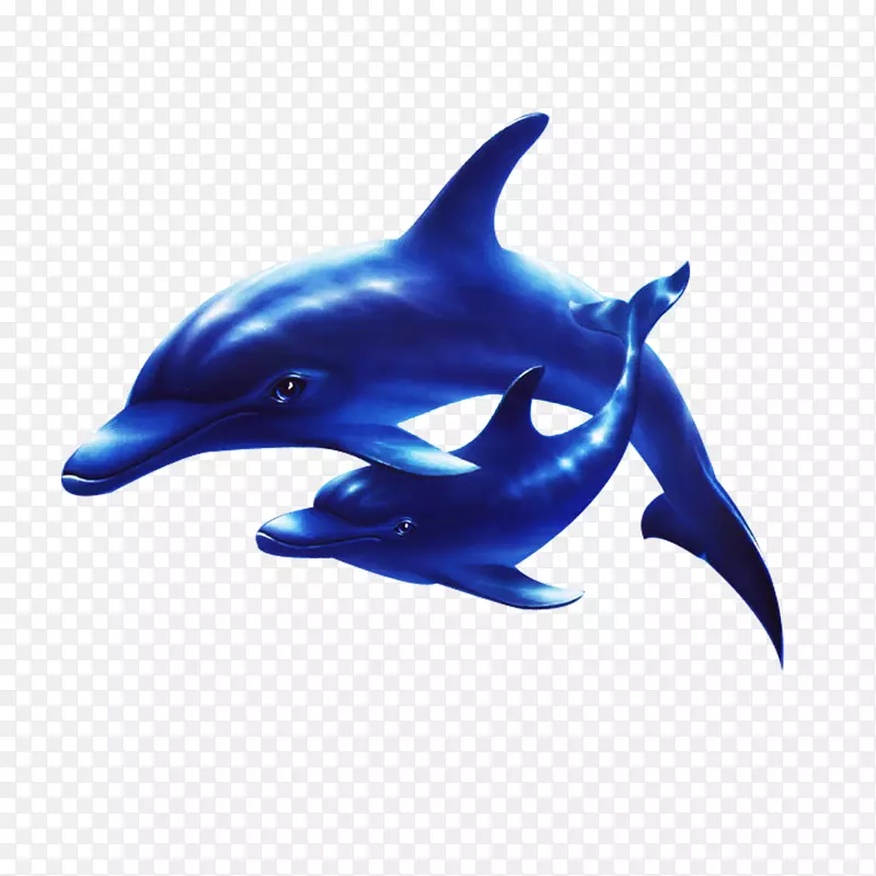 海豚海洋剪贴画-海底海豚