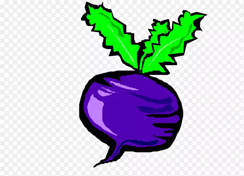 蔬菜茄子绘画.创造性手绘紫色茄子