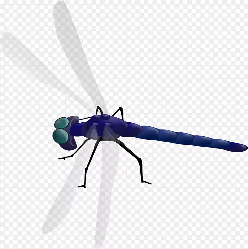 蜻蜓画片艺术-蓝色蜻蜓飞行