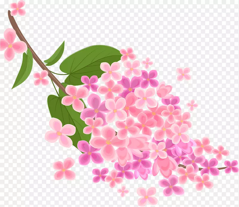 粉红鲜花收藏摄影版税-免费樱花