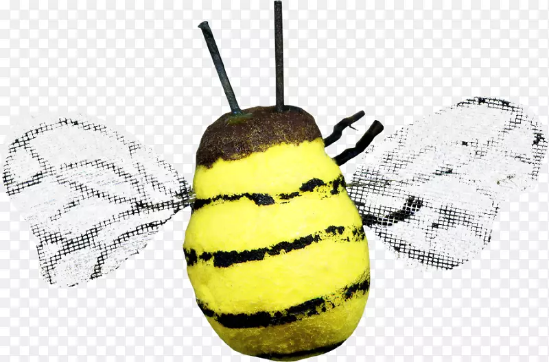蜜蜂昆虫下载-卡通蜜蜂
