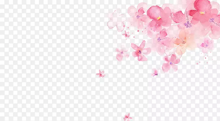 纸水彩画艺术花瓣-樱花、花瓣