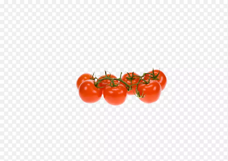 番茄蔬菜天然食品红色番茄