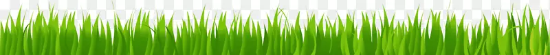 麦草绿色能源植物茎壁纸草