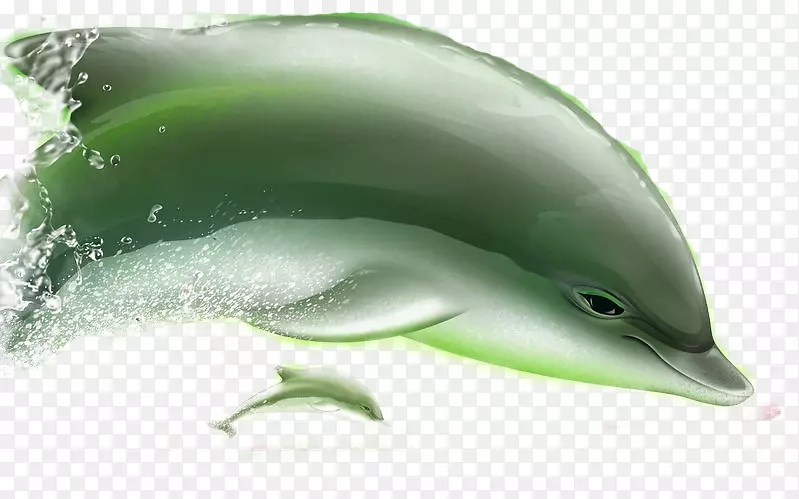 短喙普通海豚图库溪海豚公海豚体型