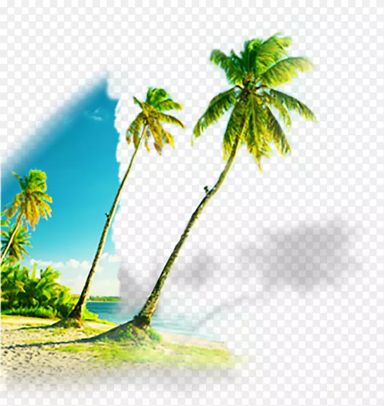 椰子摄影-大蓝棕榈海滩创意