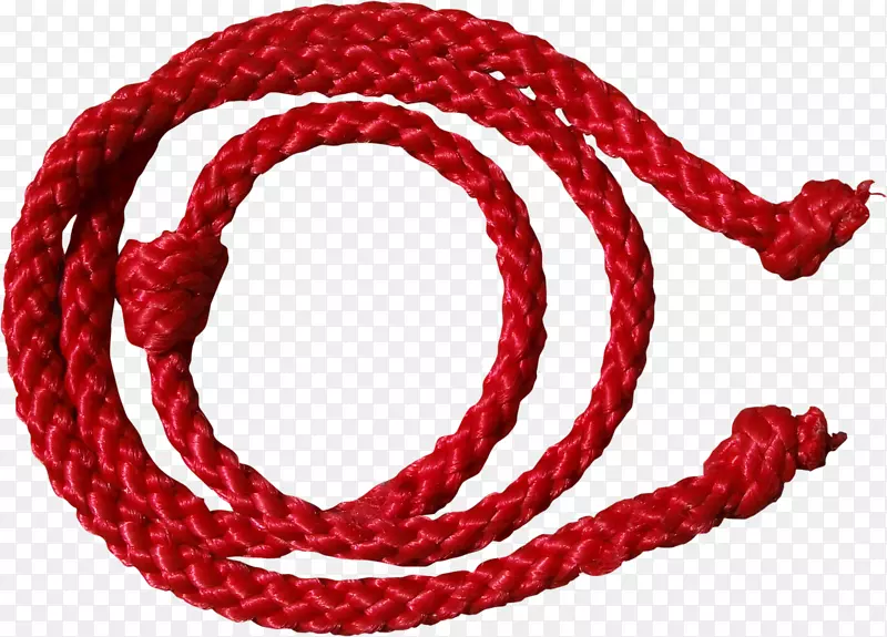 钢丝绳夹艺术.运输绳