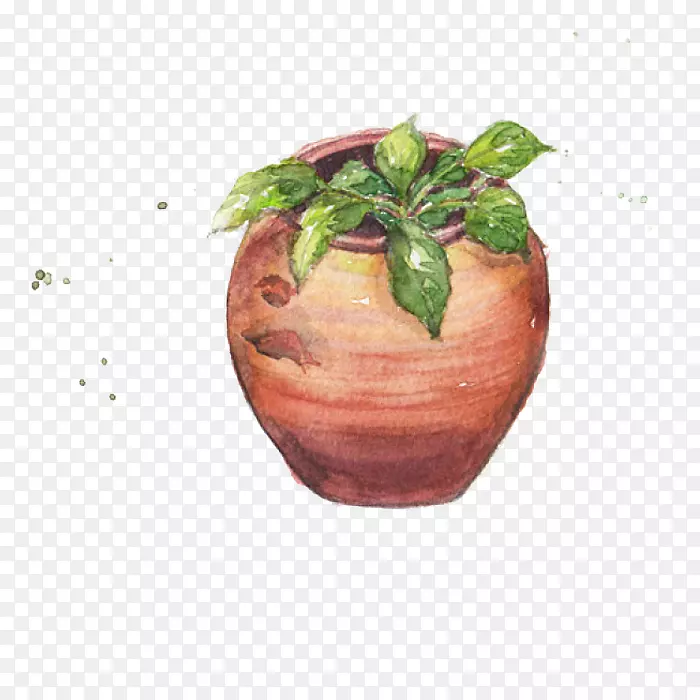 JAR植物载体-罐子中的植物
