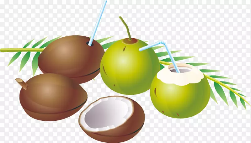 椰子水果-精致水果椰子
