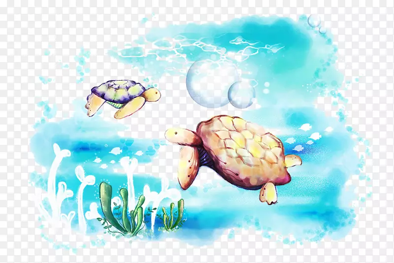 海龟画-海龟
