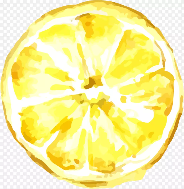 柠檬画图标-卡通手绘柠檬
