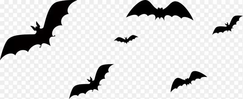 蝙蝠万圣节-蝙蝠