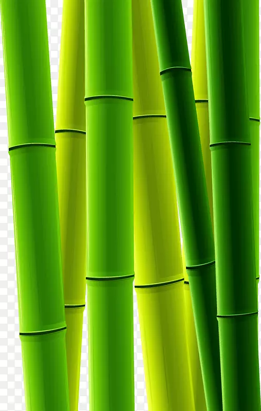 竹子剪贴画-绿竹