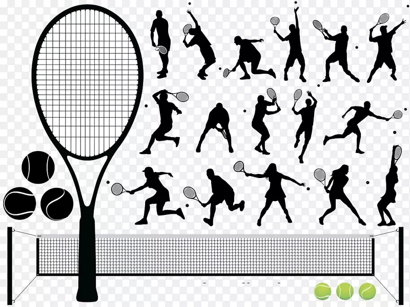 网球运动插图.网球特征