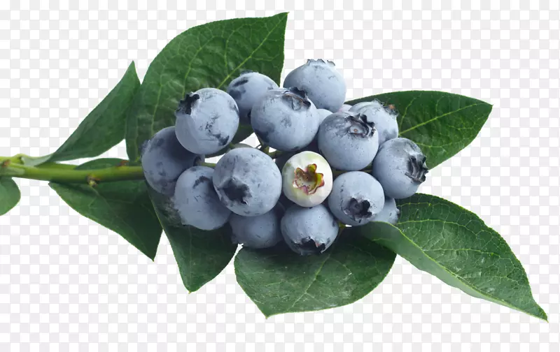 果汁冲压蓝莓风味糖浆-水果蓝莓图片