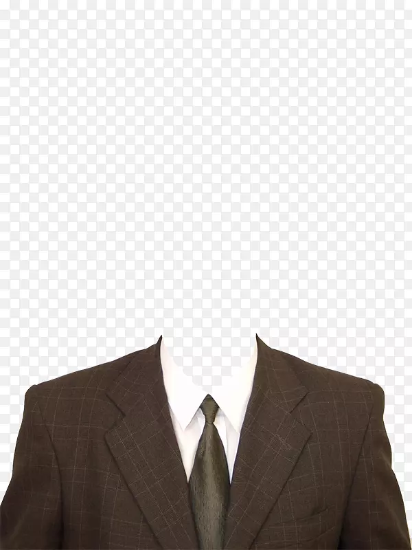 西服领带正式服装棕色西装