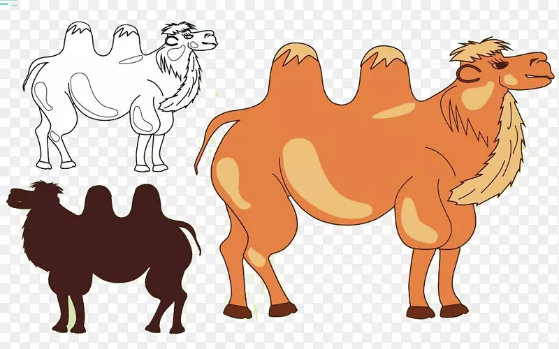 骆驼剪影插图-骆驼队
