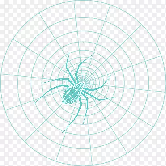 蜘蛛网圆-抽象几何蜘蛛网蜘蛛