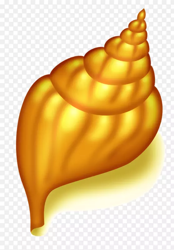 贝壳海螺夹艺术-金海螺