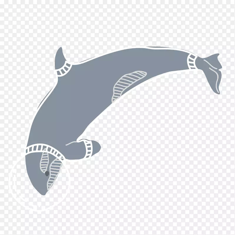 蓝鲨动物-蓝鲨