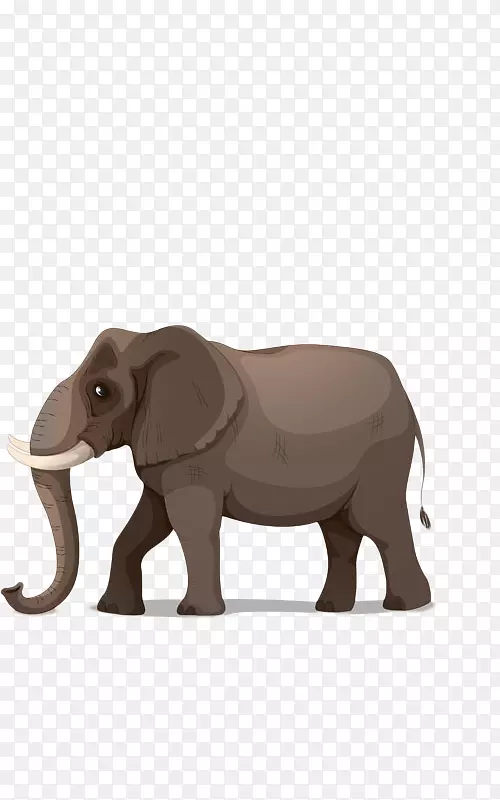 非洲大象卡通插图-大象