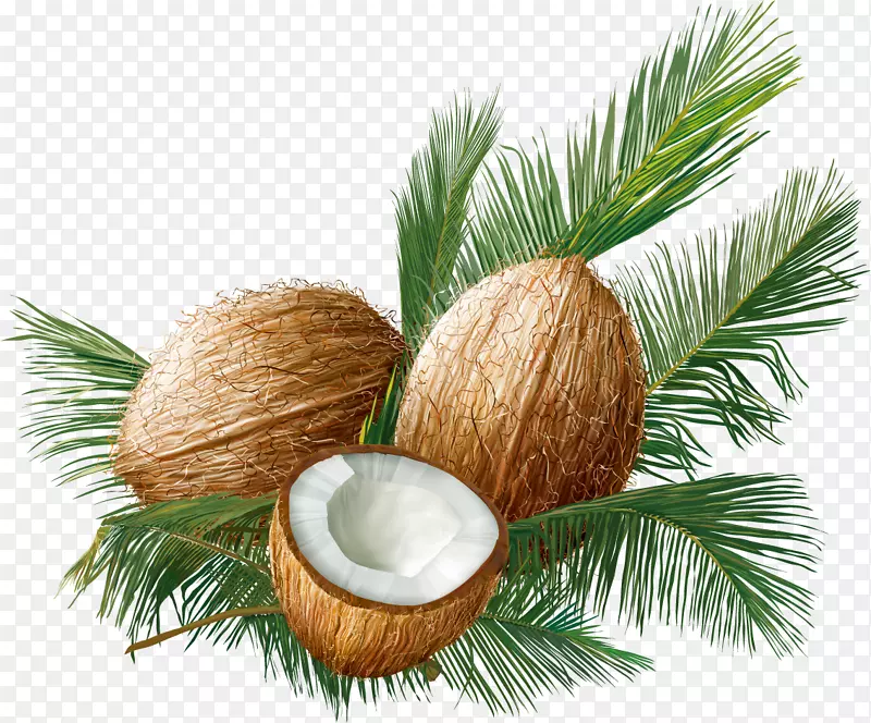 椰子热带水果甜椰子