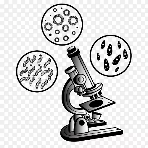 显微镜插图显微镜