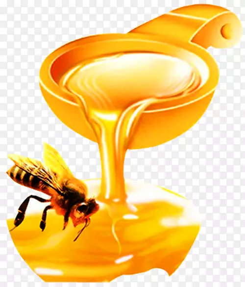 蜜蜂有机食品蜜蜂昆虫-相思蜂蜜