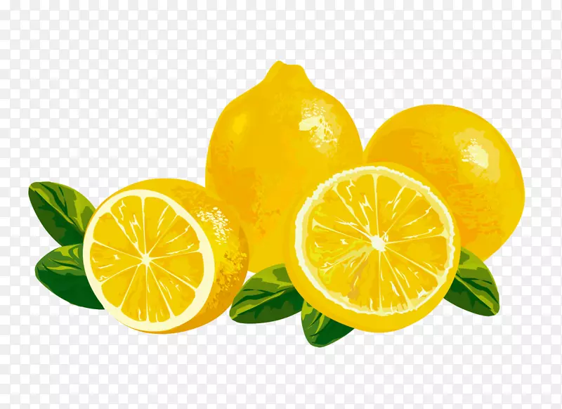果汁柠檬剪贴画.柠檬载体材料