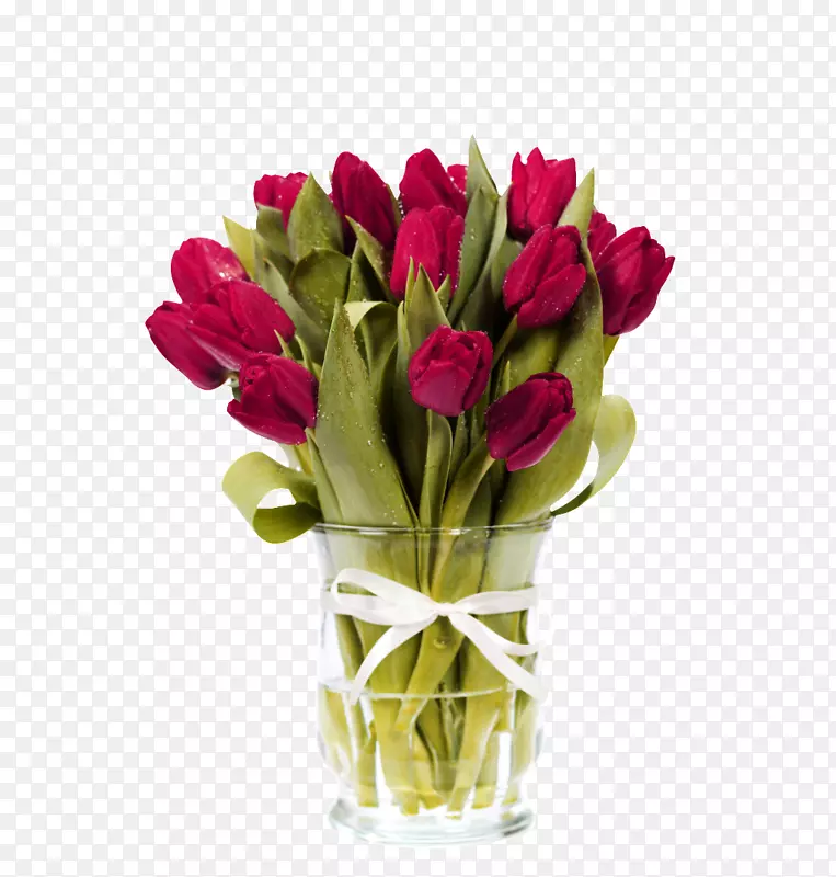 英迪拉甘地纪念郁金香花园花束-痴迷于郁金香图片材料