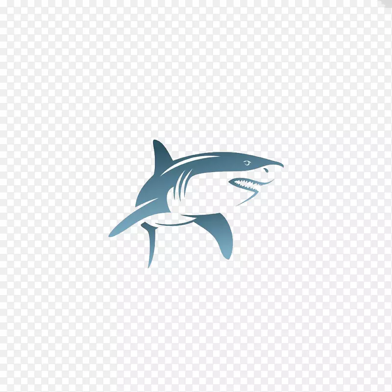 鲨鱼插图-鲨鱼