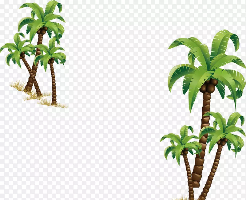 椰子树计算机文件-椰子树