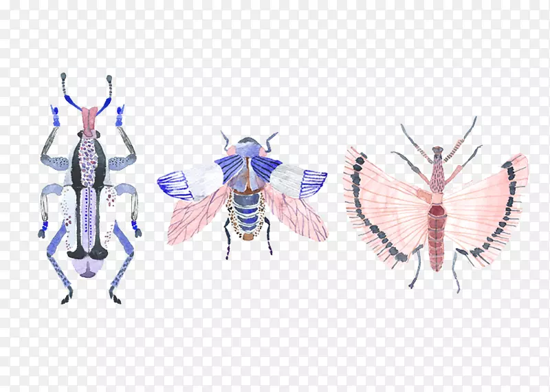 蝴蝶昆虫图形设计插图.喷绘昆虫图案