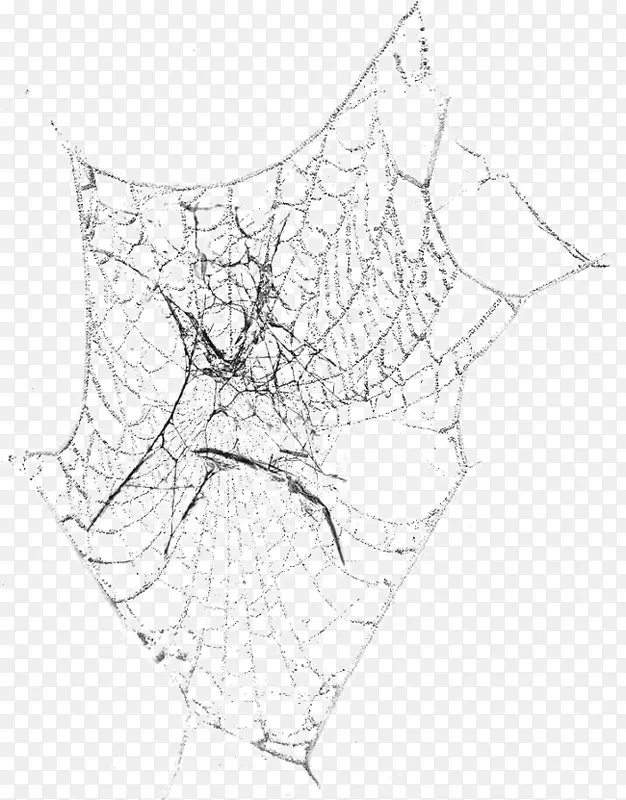 黑白蜘蛛线艺术对称图案黑白蜘蛛网蜘蛛