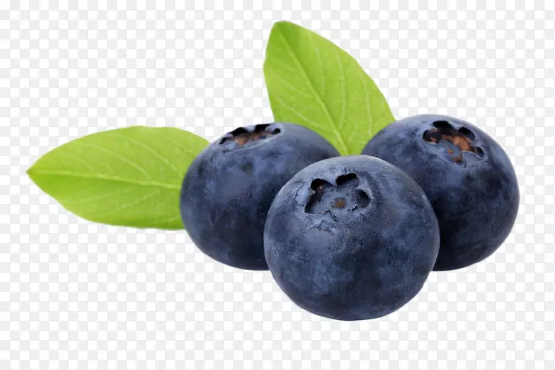 澳洲蓝莓食物花青素水果美味蓝莓果