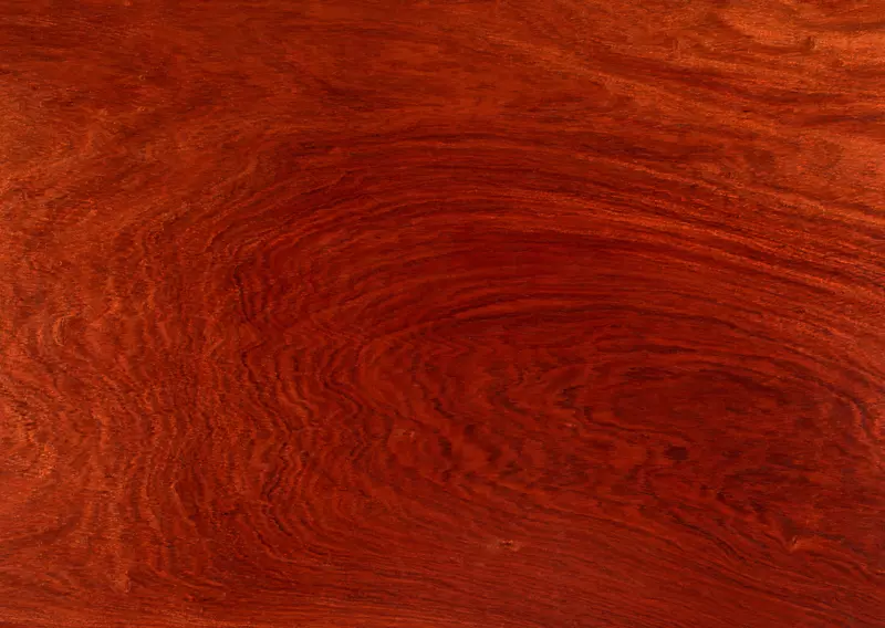 木地板染色漆层压板地板木材