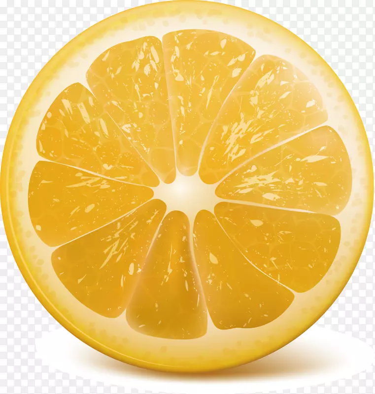 柠檬橙剪贴画.柠檬片装饰