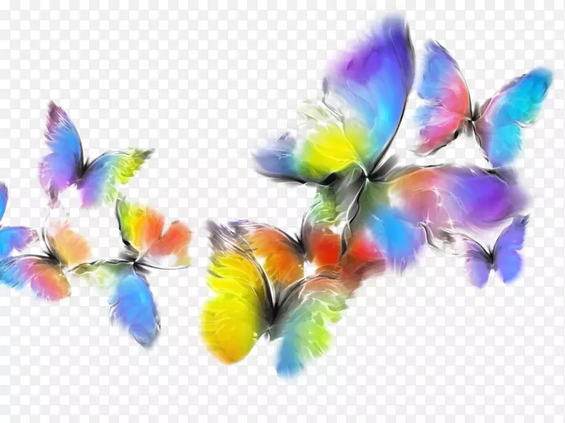 醒来的蛹室蝴蝶和飞蛾画的孩子-色彩斑斓的蝴蝶