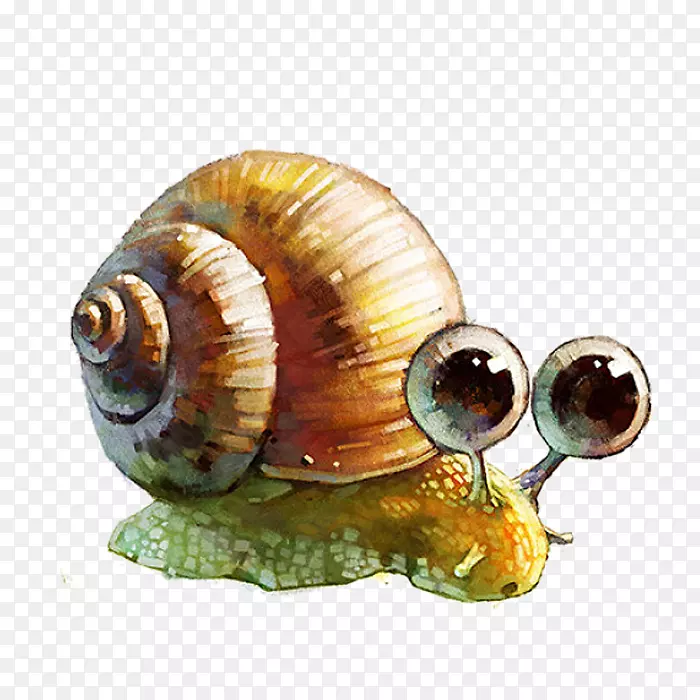 水彩画范本插图手绘蜗牛