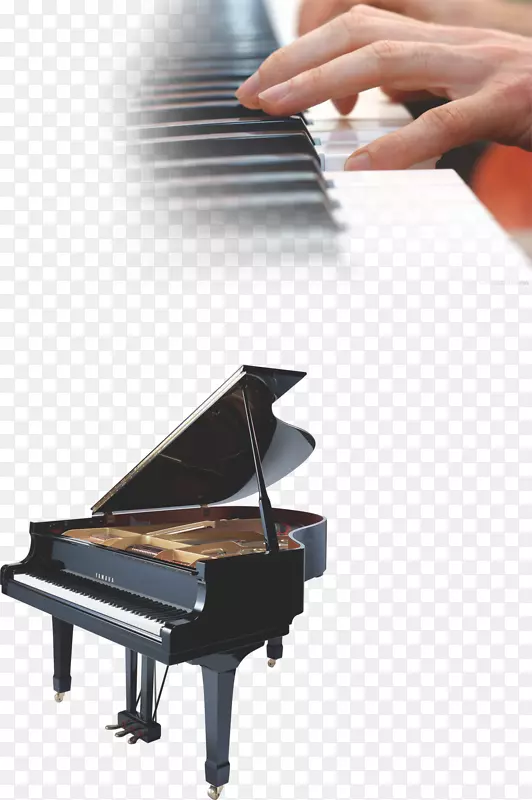 大钢琴乐器-钢琴教育艺术训练