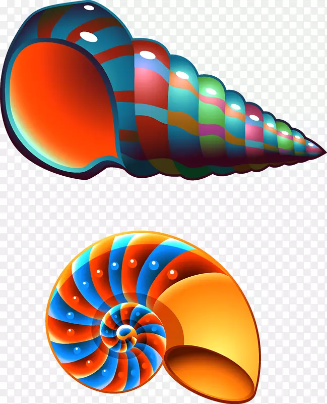贝壳夹艺术.彩色海螺