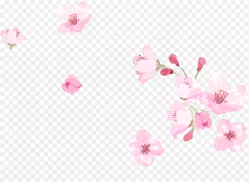 粉红樱花剪贴画-小鲜红樱花
