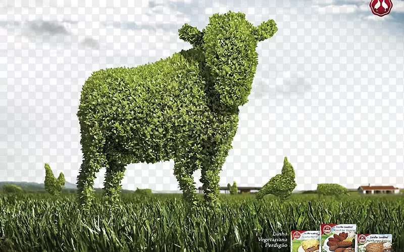 牛群创意壁纸-奶牛草原草背景