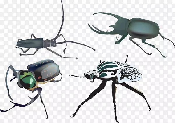 甲虫免版税插图.卡通昆虫材料