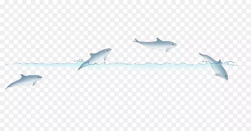 鲜活海豚插图